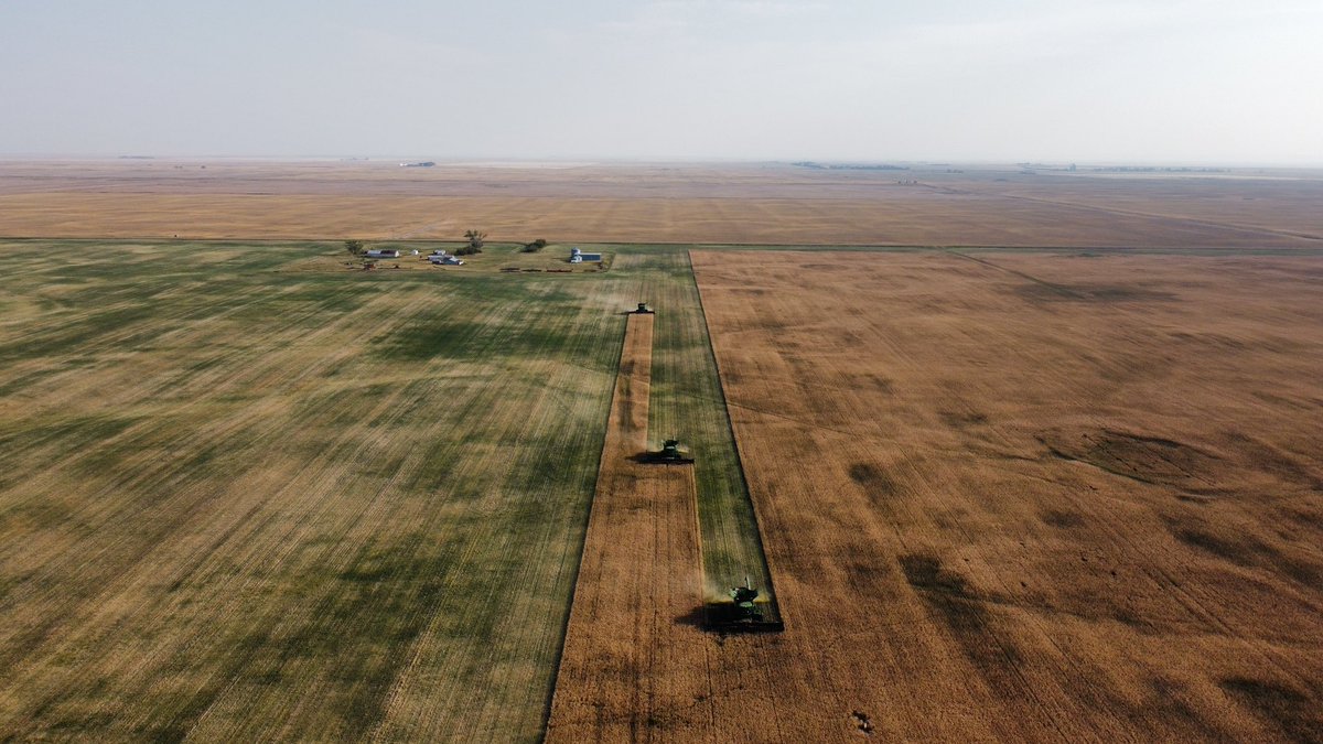 Hopefully the last day of combining for G &amp; N Farms #harvest21 #CoreAg #Warner