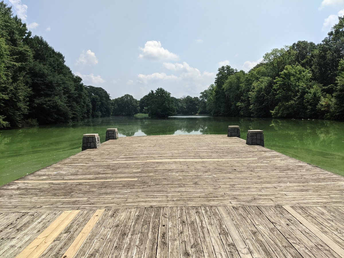 Green. Summer. Water