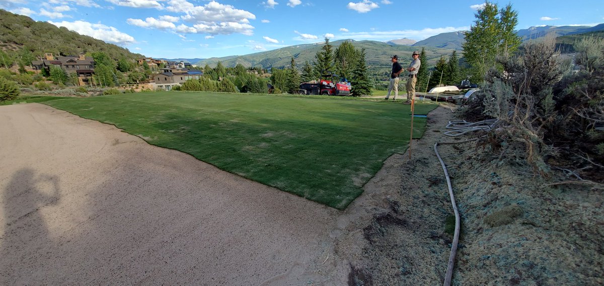 Carey Hofner tweet media