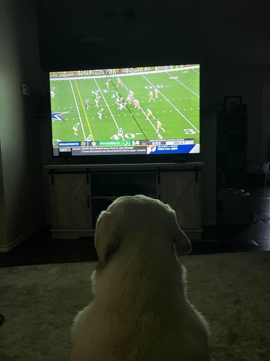 TeejAndrade's tweet photo. The man, the myth, the legend… Chief!
#NationalDogDay🐶 https://t.co/tBI5jItNhC