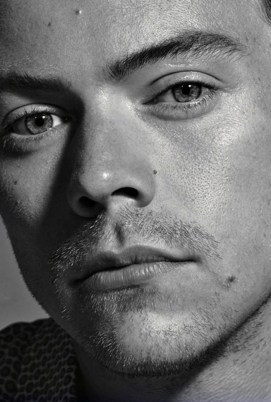 Photos 1D tweet media