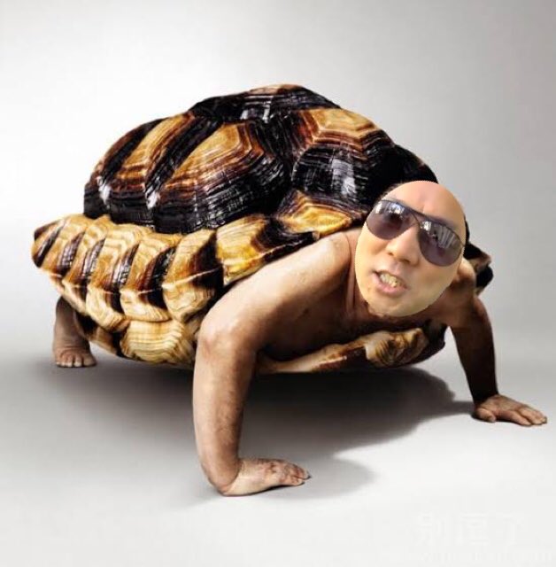 <a href="/BL90942512/">CBL</a> 喜国欺哥🪞库传来喜讯，欺哥人工授精成功啦😂👏👏👏