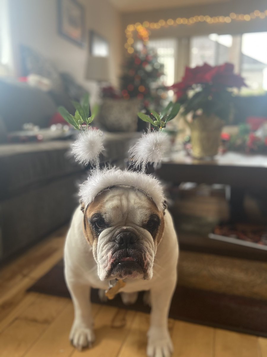 Jessisquire tweet media