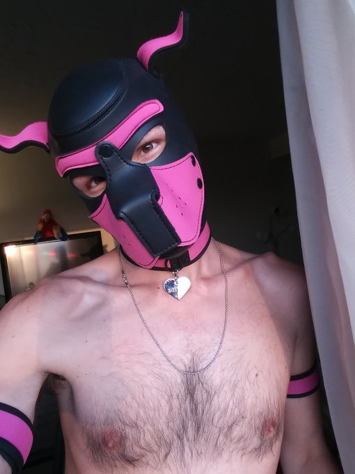 1 pic. ? I hope everyone is having lovely evening ? ? have some good vibes ??? 
#humanpup #gaypup #neoprenepup