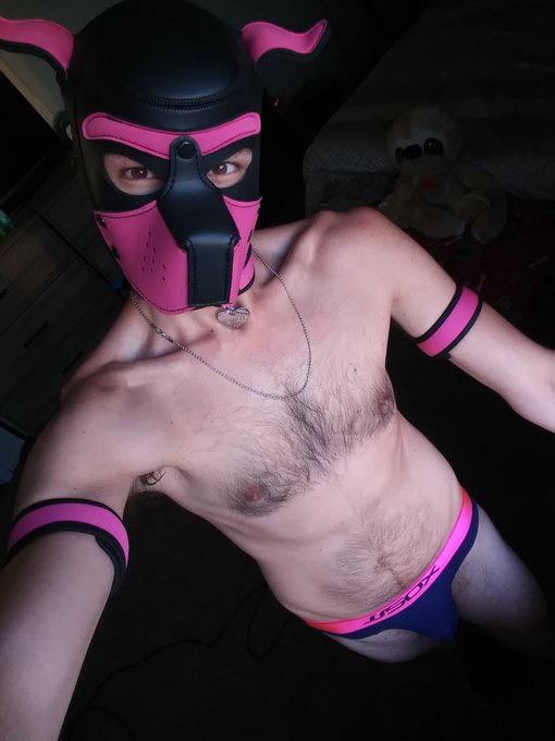 2 pic. ? I hope everyone is having lovely evening ? ? have some good vibes ??? 
#humanpup #gaypup #neoprenepup