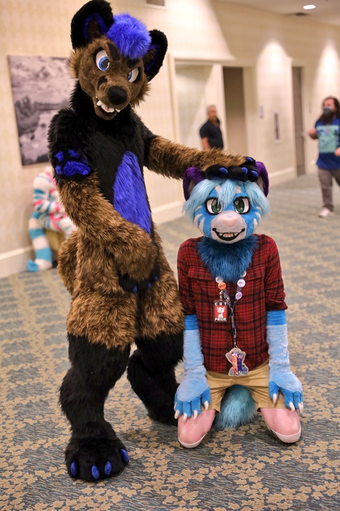 its_rommel747's tweet photo. Cute kitty is cute @aqua_catt #Megaplex2021 https://t.co/Aczbqq0hbE
