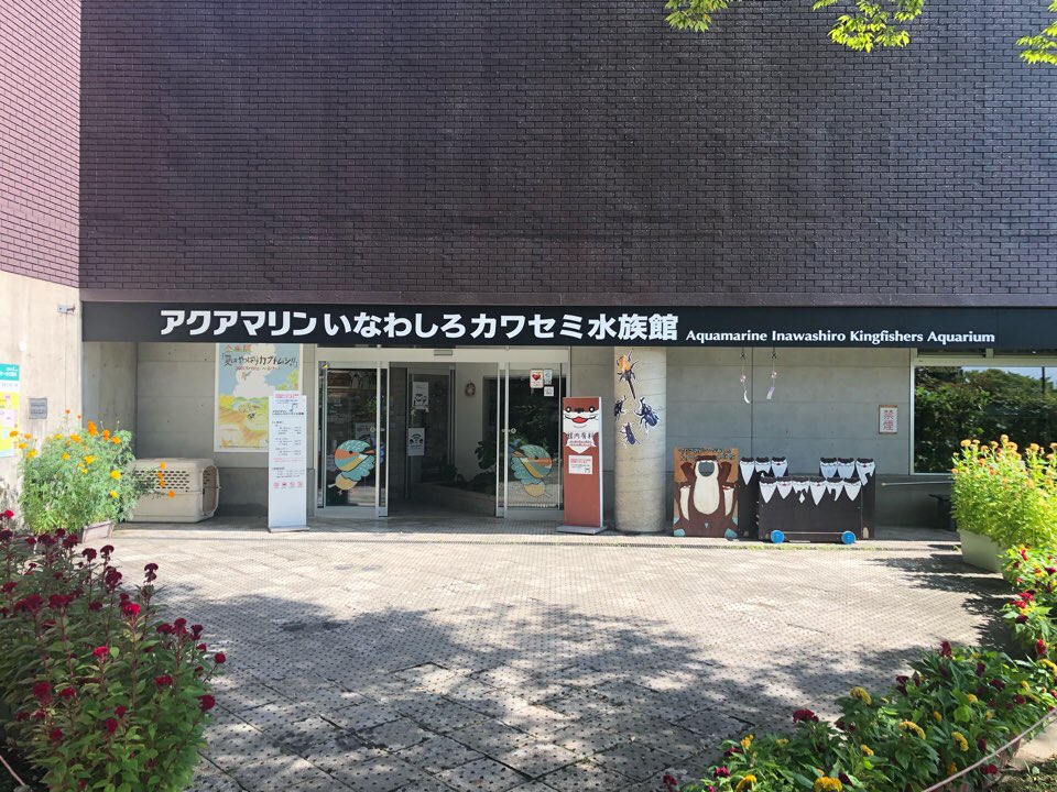 ぼりのしん 今日も福島 いなわしろカワセミ水族館 昔あったチョウザメの水槽やらは無くなってて 水棲昆虫とかがいっぱい 淡水魚は国内ものだけだといまひとつキャッチーじゃないからねぇ ナウシカっぽい冬虫夏草と 企画展のギラファ