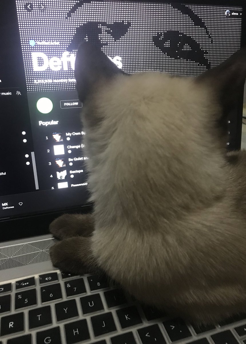 eyeswitoutaface's tweet photo. she listening to deftones https://t.co/YBOIRFUENd
