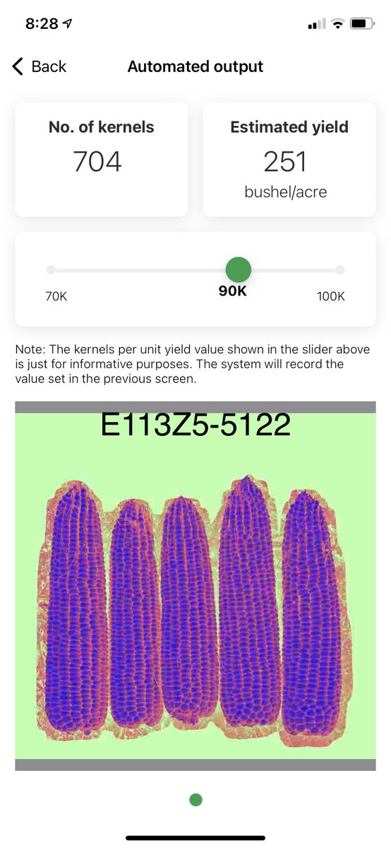 RupeAndrew's tweet image. Wow E113Z5 is looking unreal in our southern WI silage plot! Can’t wait to see how she does once the choppers start rolling!