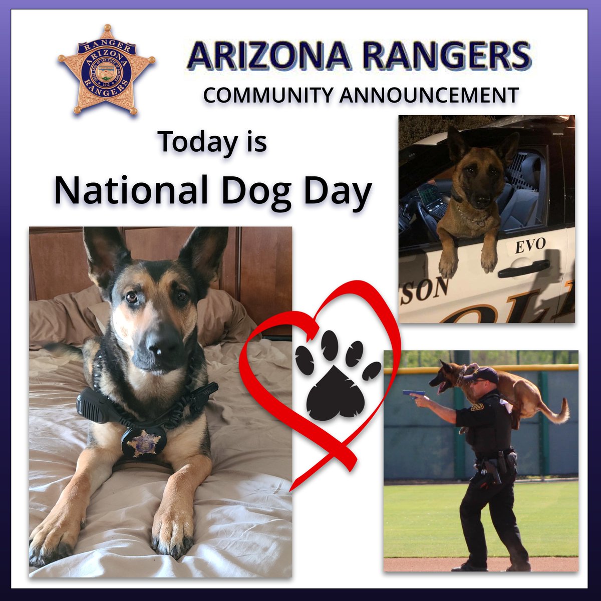 The Arizona Rangers - Tucson, AZ tweet media