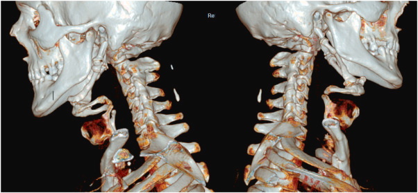 Otolaryngology Cases tweet media