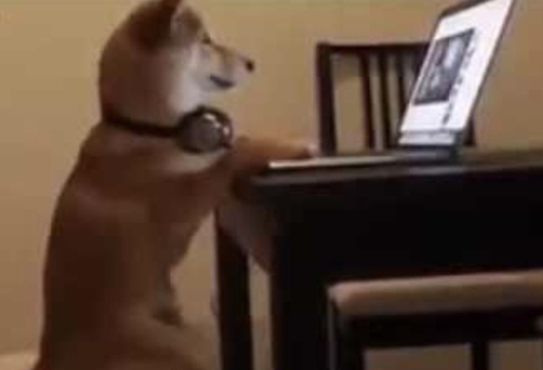 Guarromantico_'s tweet photo. Yo: *Pido algo por internet*

Yo 0.48 segundos después: *Rastrear pedido* https://t.co/LROJ6pOFYf