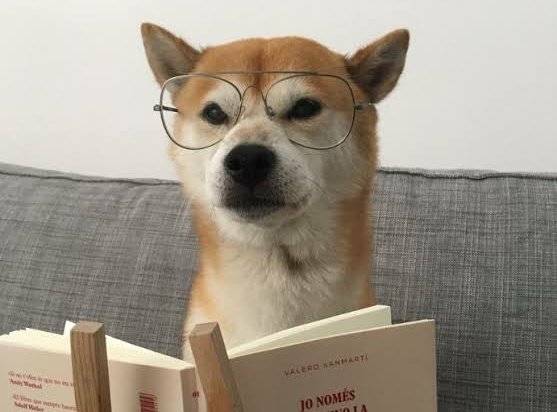 Guarromantica_'s tweet photo. Yo, leyendo de la importancia de comer saludable mientras espero mi hamburguesa. https://t.co/KuHj2Esxwo