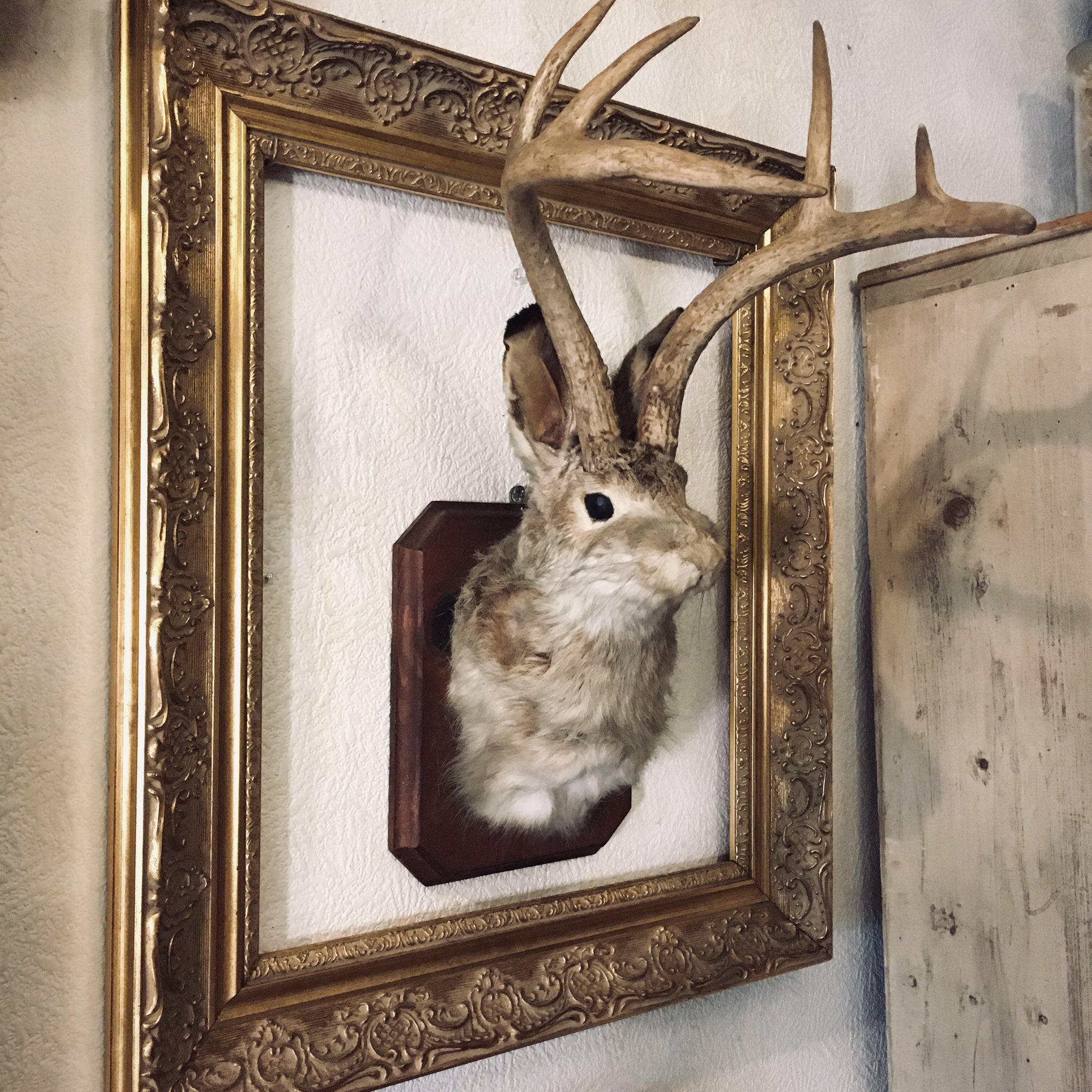 LECURIO on X: 