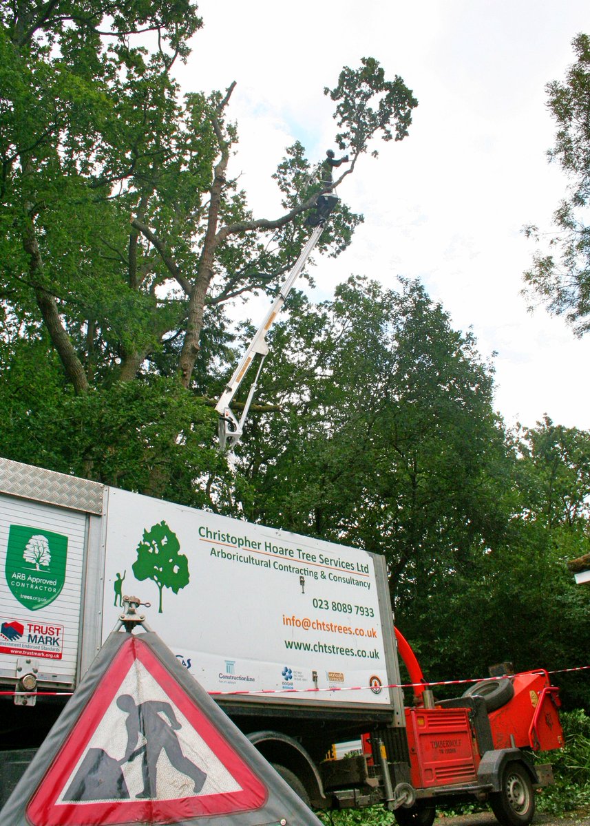 In between all of our ongoing audits we found time to visit Team 5 working for Eastleigh Borough Council to catch the start of their tree dismantle