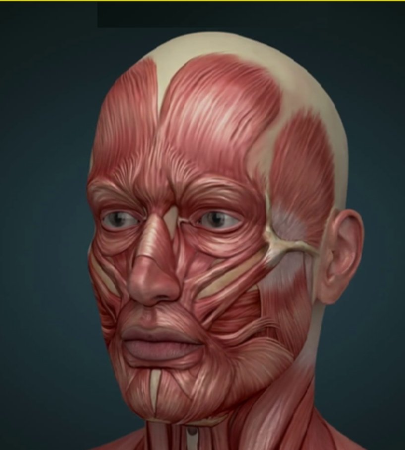 عندما يتكلم الإنسان يستعمل 44 عضلة ، وحين يغضب تتوتر في وجهه 23 عضلة ، وحين يبتسم يستعمل عضلتين فقط ، وحين ينام تسترخي لديه 357 عضلة باستثناء الحاجب الحاجز (حيث يتنفس) وعضلة القلب (التي لا تتوقف حتى وفاتـنا) !
ابتسم فكلها عضلتين فقط ...