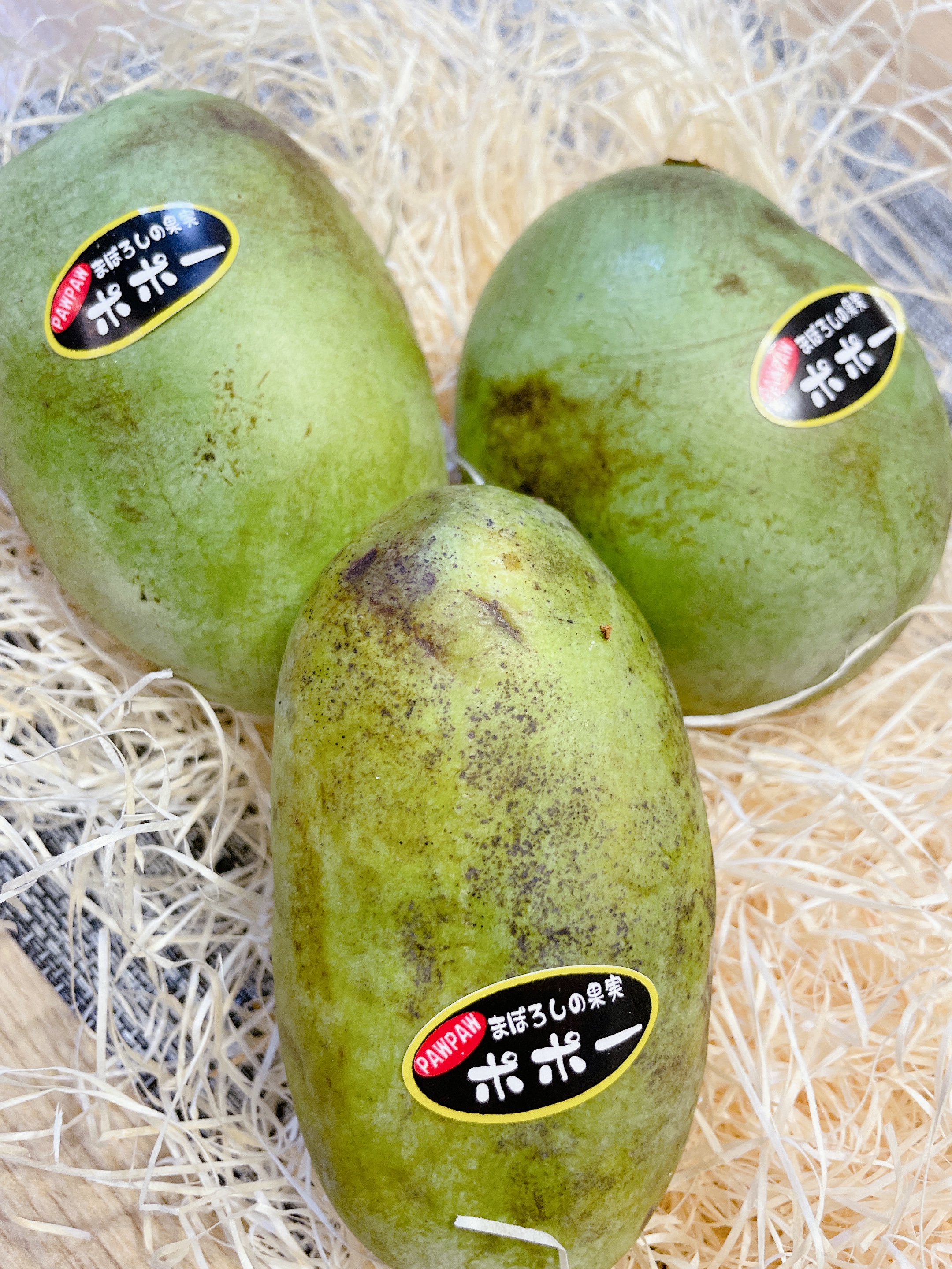 Big Yard ポポー農園 ポポコのつぶやき Bigyard Pawpaw Twitter