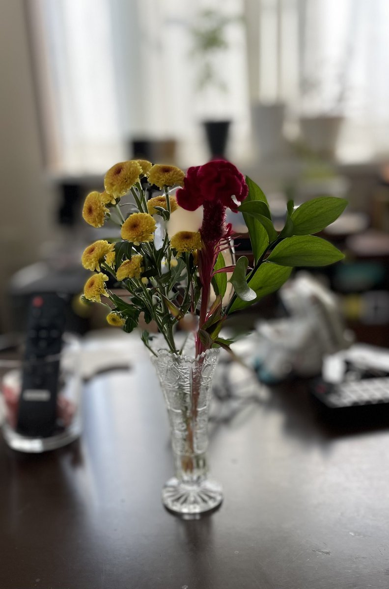 真理子 ローズバンク ただいまの花瓶の花 サブスクで届きました ケイトウとスプレー菊 葉っぱはルスカスというそうです おはなのサブスク ここいらのお花屋さんで手に入らない花や 一輪挿しに生けられるちょうどいい量が完成形でとどくのがよい