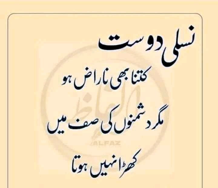 DomkiBashir's tweet image. 