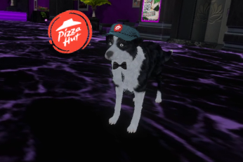HatKidWasTaken's tweet photo. Look at our little boy Jhon's First day on the job! Looking snazzy!

@pizzahut , do you have size "DOG?!"

#SponsorJhon #FreeJhon #NationalDogDay https://t.co/l8Z2XCVAS2