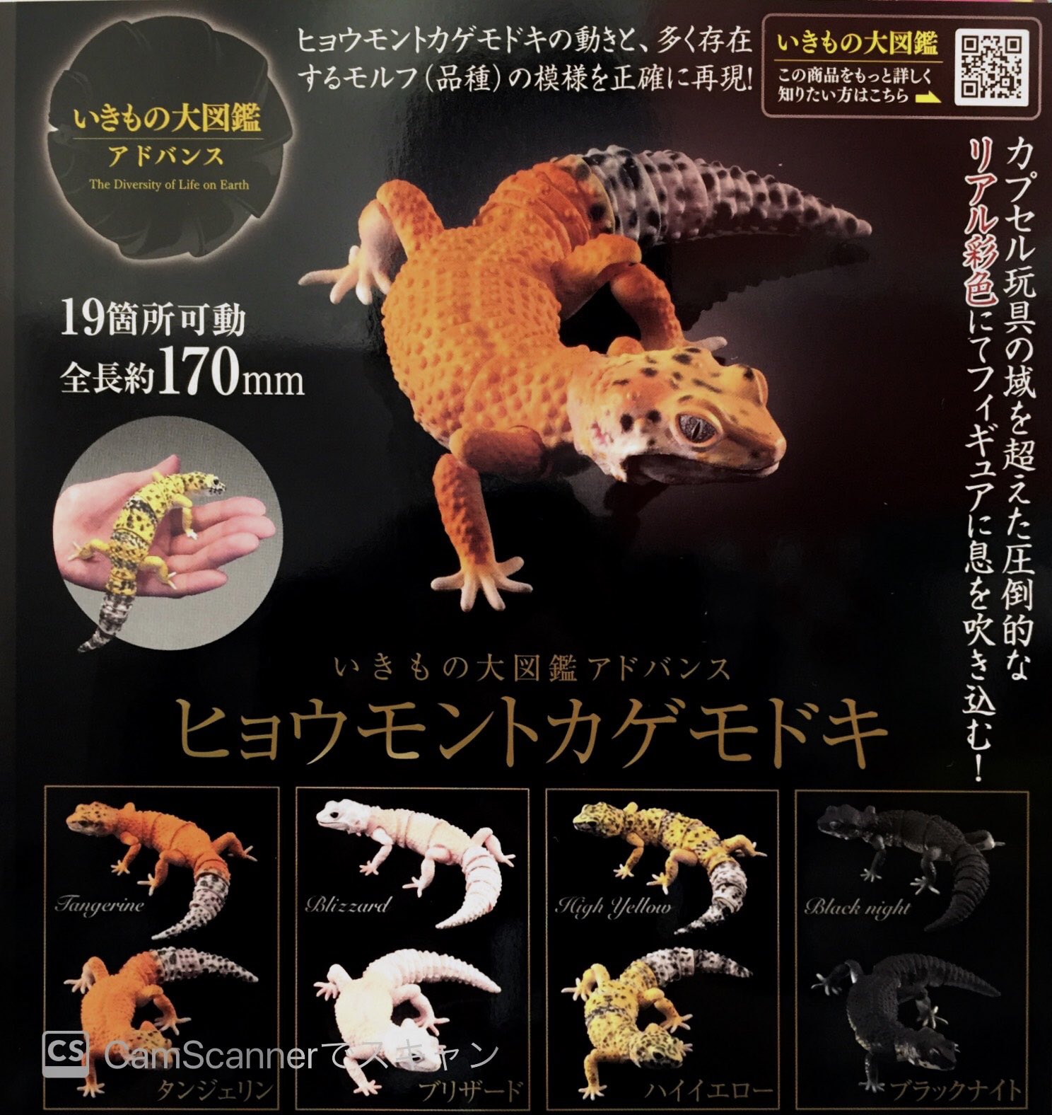 いきもの大図鑑アドバンスヒョウモントカゲモドキ・レオパードゲッコー フィギュア いきもの大図鑑アドバンス レオパードゲッコー｜ガシャポン