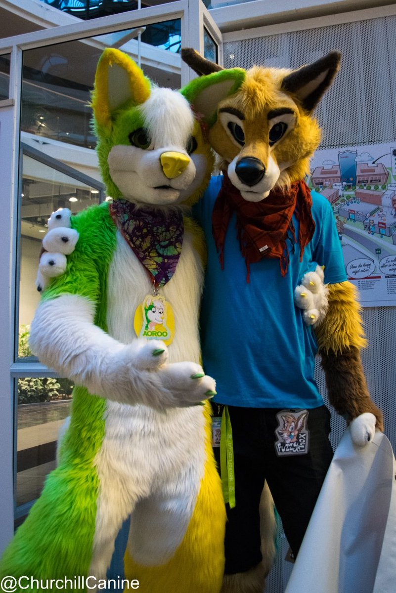 This #FursuitFriday has to be done with <a href="/AorooHusky/">Aoroo</a> look how gorgeous and tall he is, finally someone I don't need to look down on let my neck rest a bit XD

<a href="/ChurchillCanine/">Churchy</a> took the picture
<a href="/MadeFurYou/">@madefuryou.com on BSKY</a> made our suits