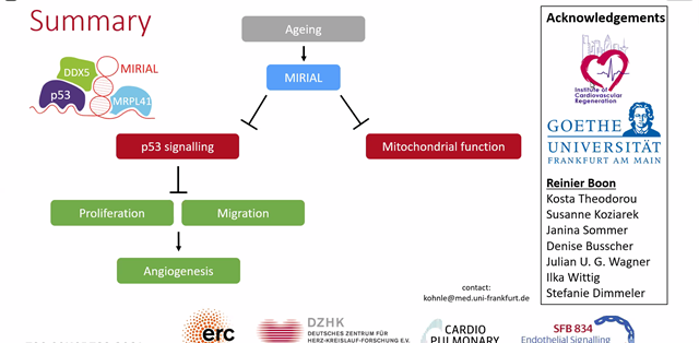 CarolRemme's tweet image. #basicscience #ESCAbstract Live session on Novel insights in non-coding RNA functions

Caroline Kohnle presents on the novel ageing-induced long non-coding RNA MIRIAL which controls endothelial cell and mitochondrial function

#ESCCongress @CVR_TomaszGuzik