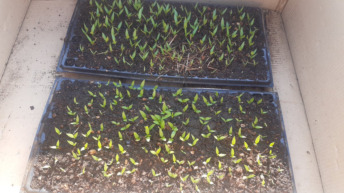 CSakithe3RD's tweet image. The journey begins.