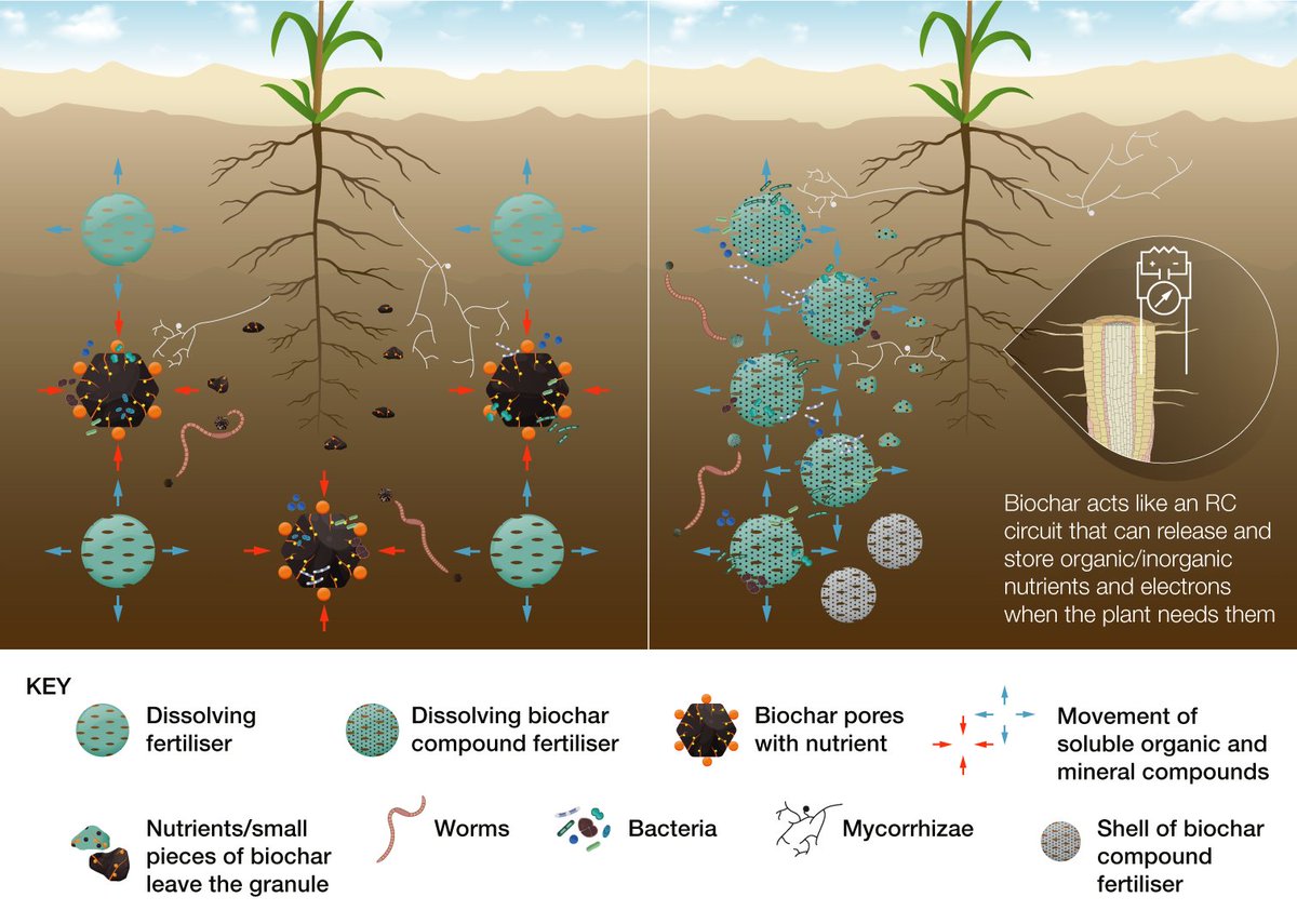 Annette Cowie tweet media