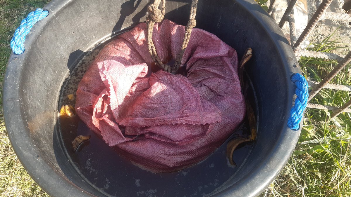 CSakithe3RD's tweet image. The journey begins.