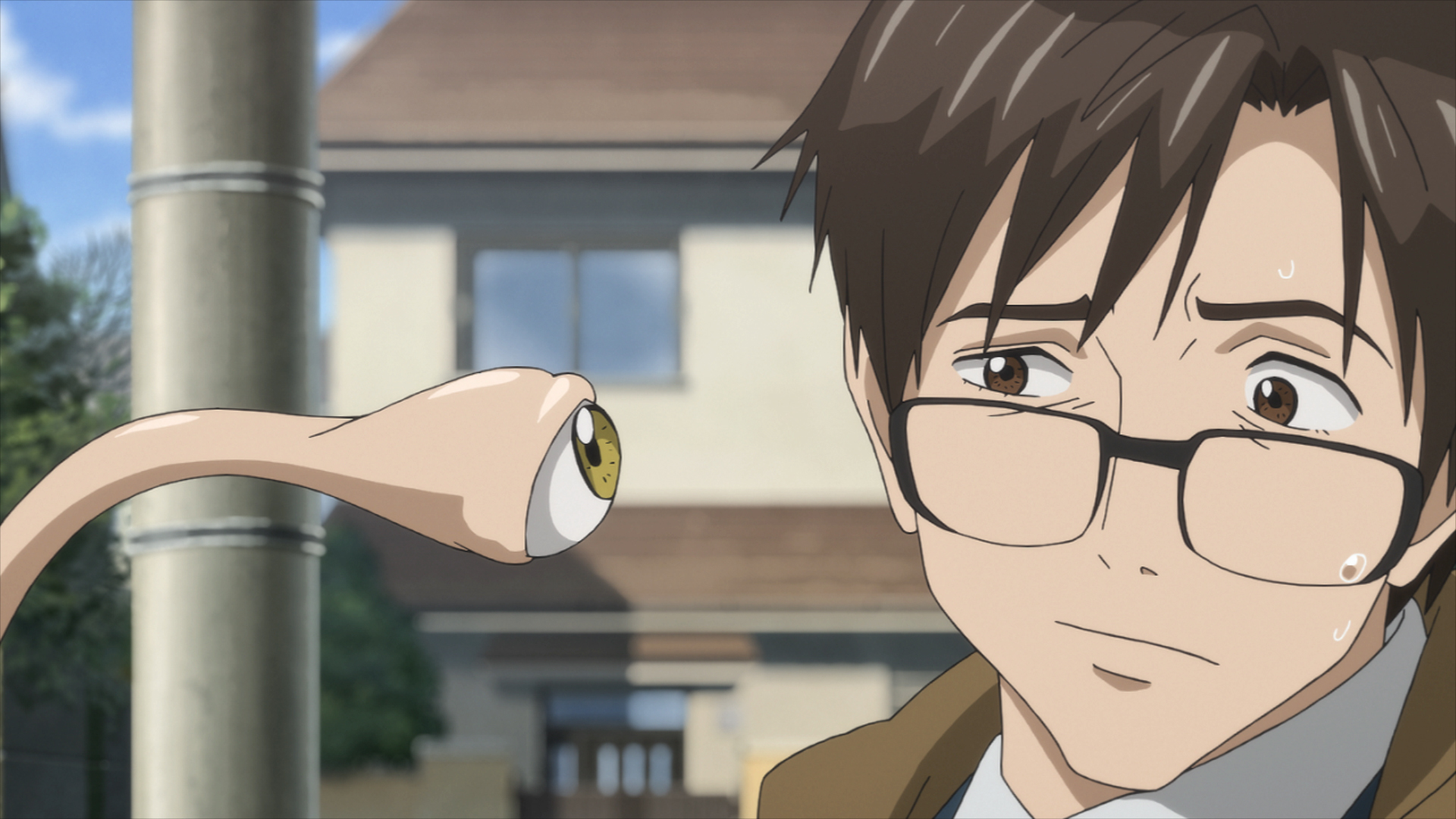 Netflix Japan Anime 9月は人気アニメが盛り沢山 ネトフリアニメ 2 9月1日より配信 映画おしりたんてい カレーなるじけん 映画おしりたんてい テントウムシいせきのなぞ 寄生獣 セイの格率 逆境無頼カイジ Ultimate Survivor