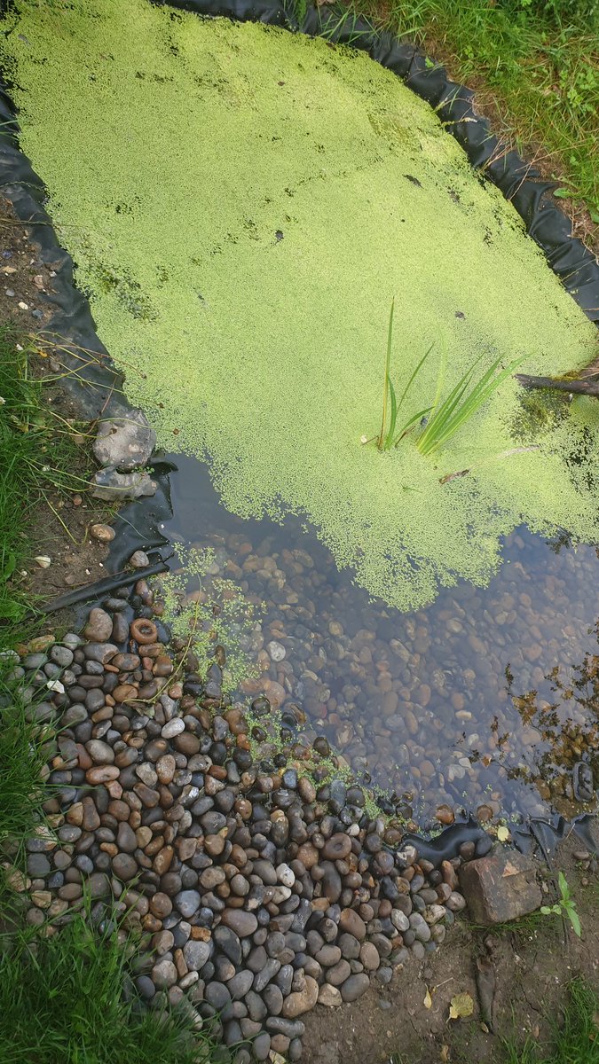 Ben Dewhurst tweet media