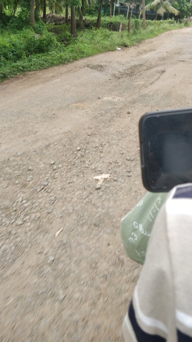 OGhambeera_'s tweet photo. Clicked just few minutes back Razole Pedalanka Road !

#JSPforAP_Roads https://t.co/GopPI9ezTk