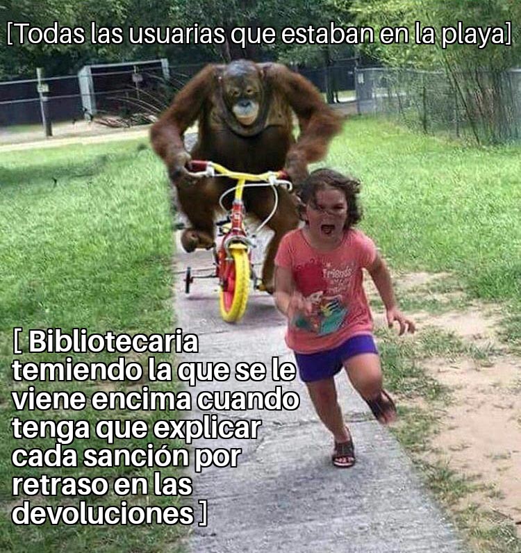 davidk007's tweet photo. El final del verano llega también a las #bibliotecas y con él vuelven las pequeñas rutinas que alegran la convivencia del ecosistema bibliotequil.
(El #bibliomeme / #memebibliotecario que culmina la calurosa serie #librariansummer ) https://t.co/qHQpzk9AOj