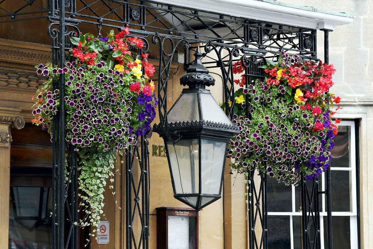 Word je ook helemaal happy van bloemen en planten? Een hanging basket is een hangmand waarin je mooie perkplanten plaatst!