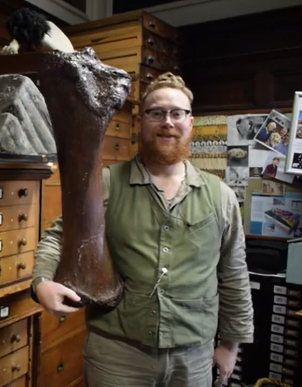 NorwichCastle's tweet photo. It doesnโt get much bigger than our West Runton #mammoth โ its shin bone alone is half the size of our Natural History Curator, and its femur (thigh bone) is even bigger! The skeleton was discovered in the 1990s, and is the largest ever found in Britain.
#GiantObjectsInMuseums https://t.co/IpcttLt9bu