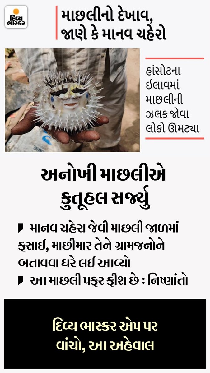 Divya_Bhaskar's tweet photo. અનોખી માછલીએ કુતૂહલ સર્જ્યુ : માનવ ચહેરા જેવી માછલી જાળમાં ફસાઈ, માછીમાર અચંબિત કરી મૂકે તેવી માછલી ગ્રામજનોને બતાવવા ઘરે લાવ્યો
https://t.co/HV6xHPVFQ4
#Gujarat | #Bharuch | #Fish | #HumanFish https://t.co/NeNQa3n1KZ