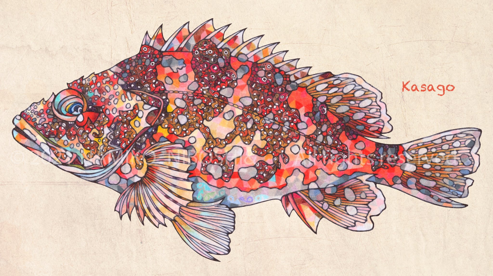 Namiko イラスト図鑑 カサゴ File255 イラスト 魚 色鉛筆 T Co Hiuai287hm Twitter