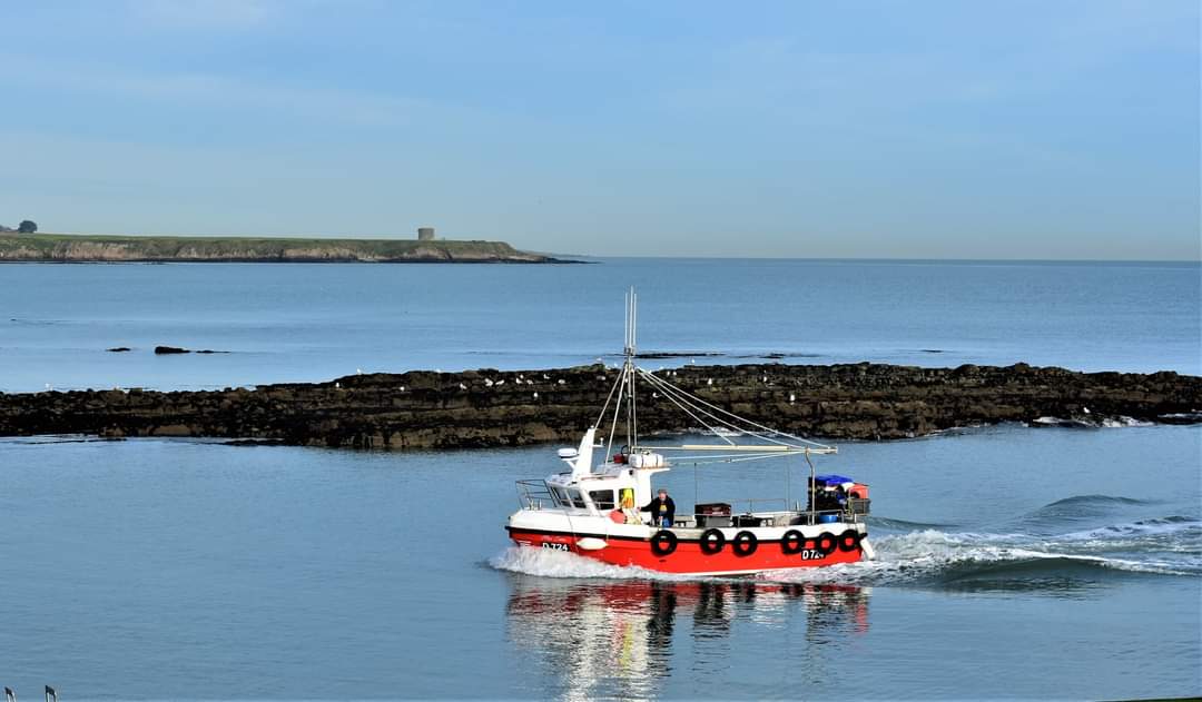 Bringing in the catch at the Rush Harbour, one of the oldest stone harbours in Ireland😍
📸Ciaran Murphy