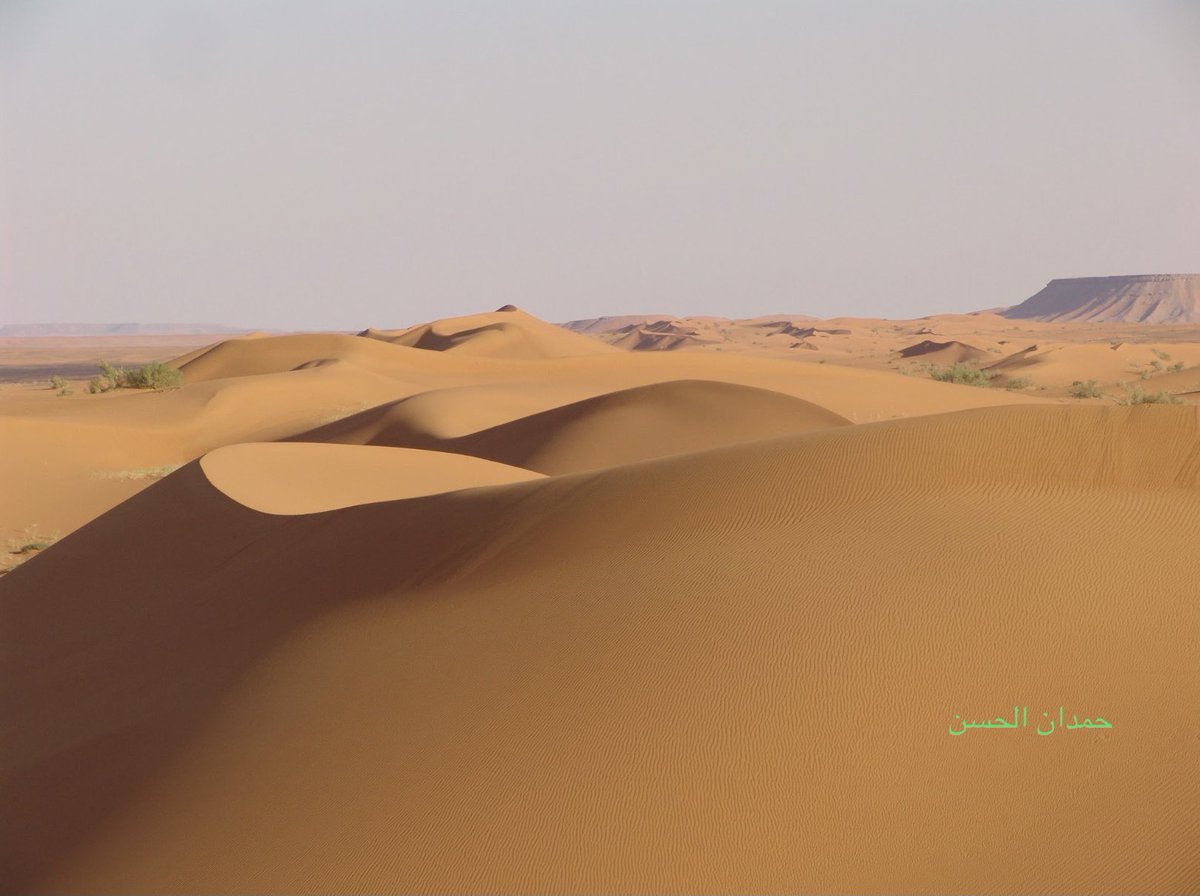 حمدان عجيريف الحسن tweet media