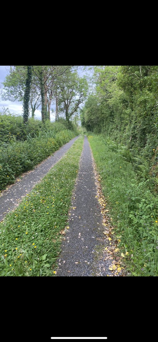 Bovrildo87's tweet photo. Love where you live #loveleitrim #gorvagh #eslin #sliabhaniarainn #drumsnaharbour https://t.co/zkHddJHHZ8