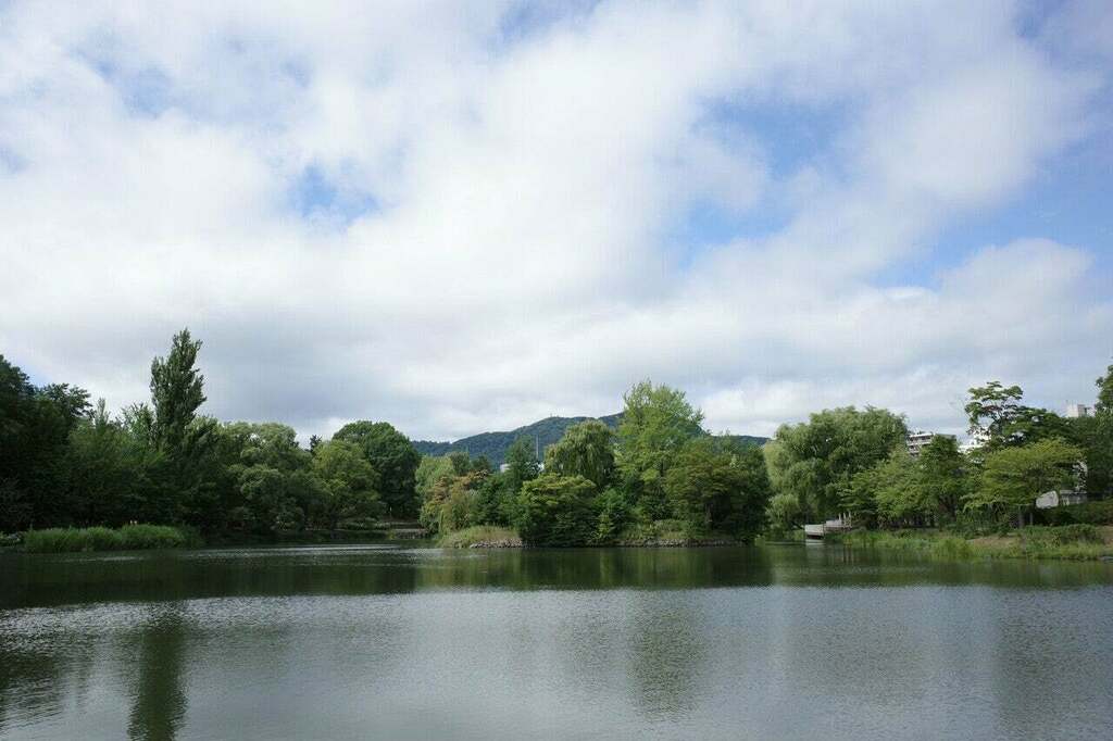qrg1422's tweet photo. 写真集-札幌旅行 #2 https://t.co/3Rmhvgapv4 https://t.co/0kjcwZps3A