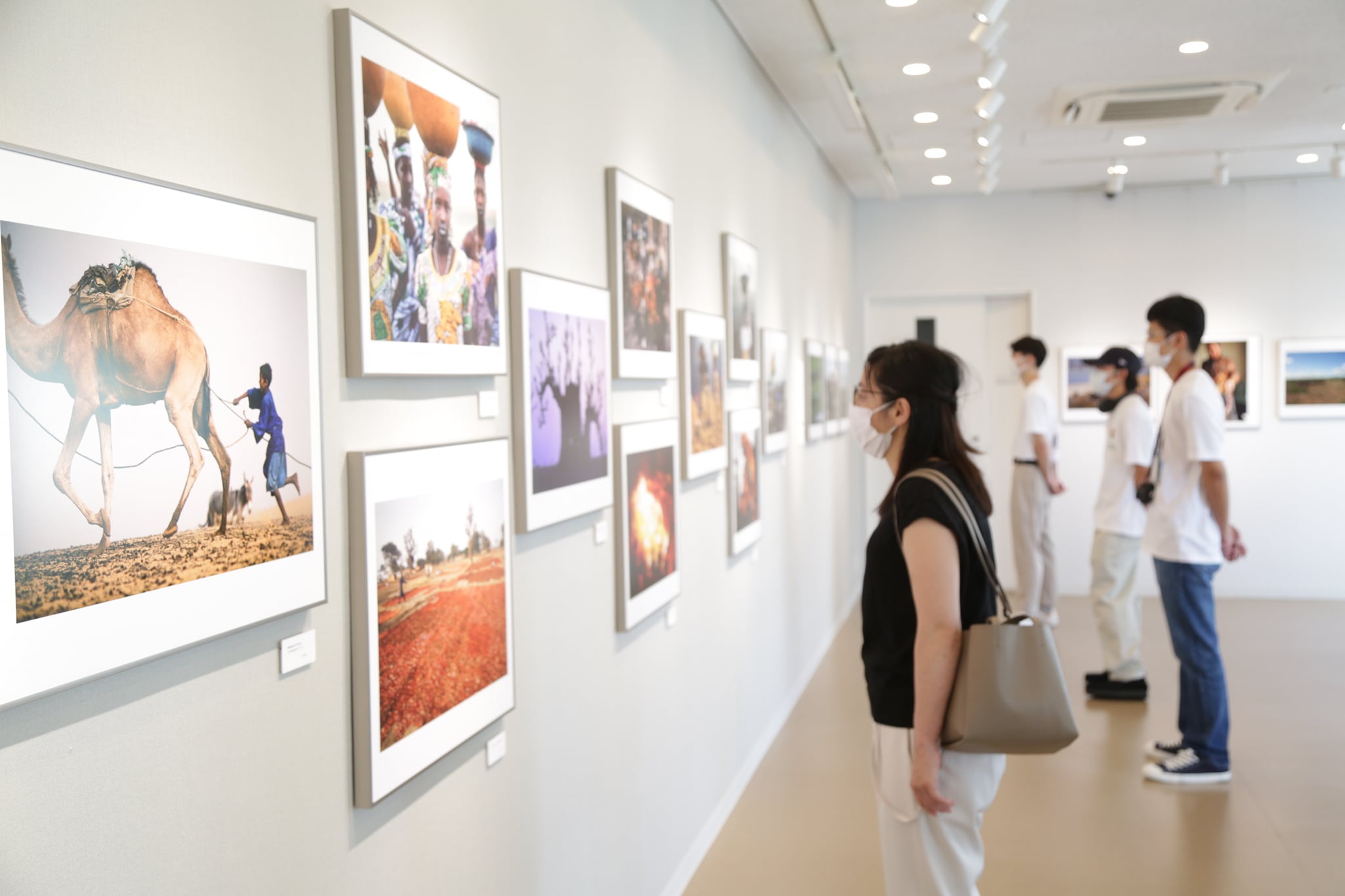 日本写真芸術専門学校 写真家 アラタンホヤガ氏 ネイチャーフォトゼミ 飯塚明夫先生 対談 を開催しました 出身地である内モンゴルの撮影取材を続けるアラタンさん そして30年間アフリカの文化と暮らしを取材し国際機関で写真のお仕事をされてきた飯塚 日本写真芸術専門学校 写真家 アラタンホヤガ氏 ネイチャーフォトゼミ 飯塚明夫先生 対談 を開催しました 出身地である内モンゴルの撮影取材を続けるアラタンさん そして30年間アフリカの文化と暮らしを取材し国際機関で写真のお仕事をされてきた飯塚