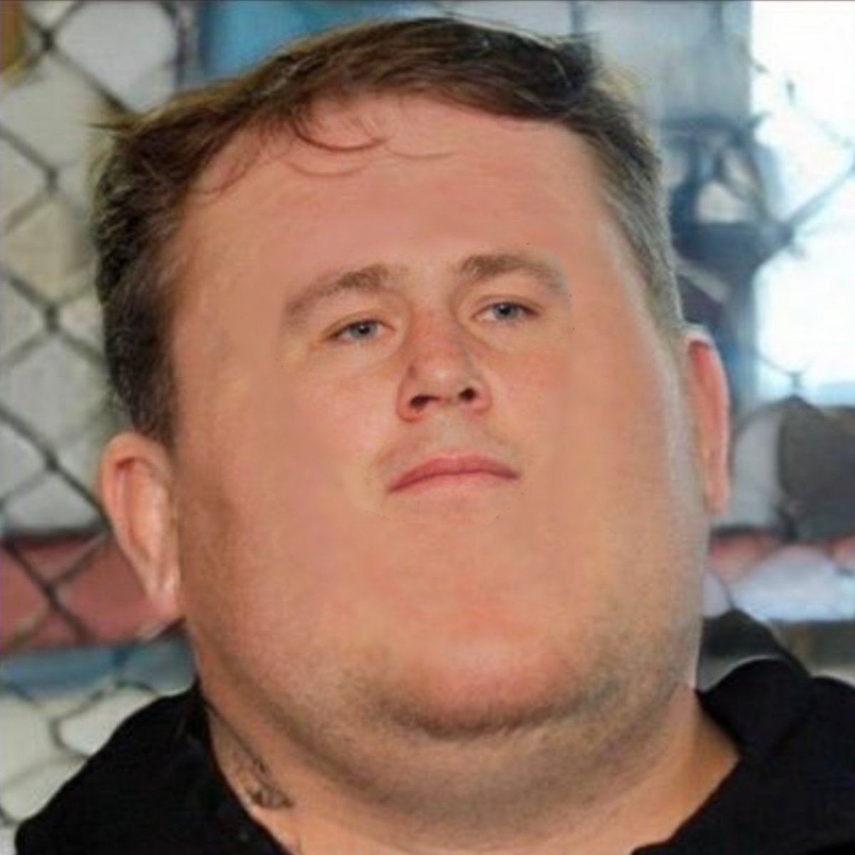 Lesterrific tweet media