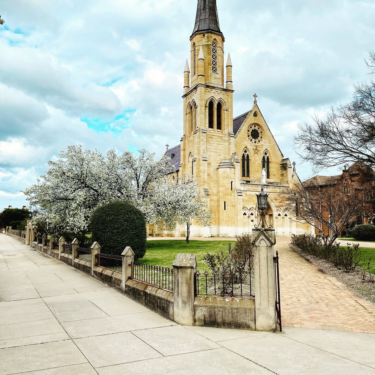 <a href="/MudgeeRegion/">Mudgee Region</a> Mudgee doing what is does best - stunning time of year