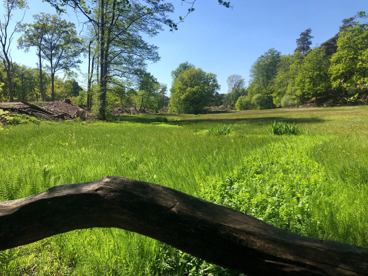 Er zijn weer een aantal interessante subsidiemogelijkheden voor bewonersinitiatieven en maatschappelijke initiatieven in #Overijssel. Bekijk ze op samenvoorelkaar.nl <a href="/ProvOverijssel/">Provincie Overijssel</a> #subsidie #initiatieven