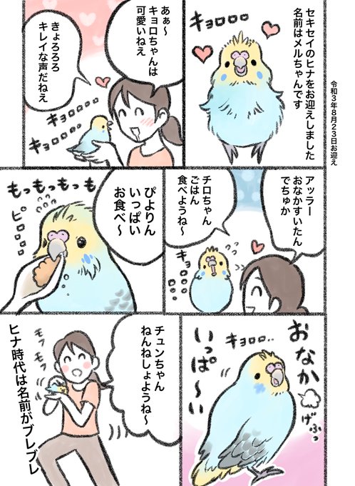 セキセイインコ を含むマンガ一覧 いいね順 ツイコミ 仮 セキセイインコ を含むマンガ一覧 いいね順 ツイコミ 仮