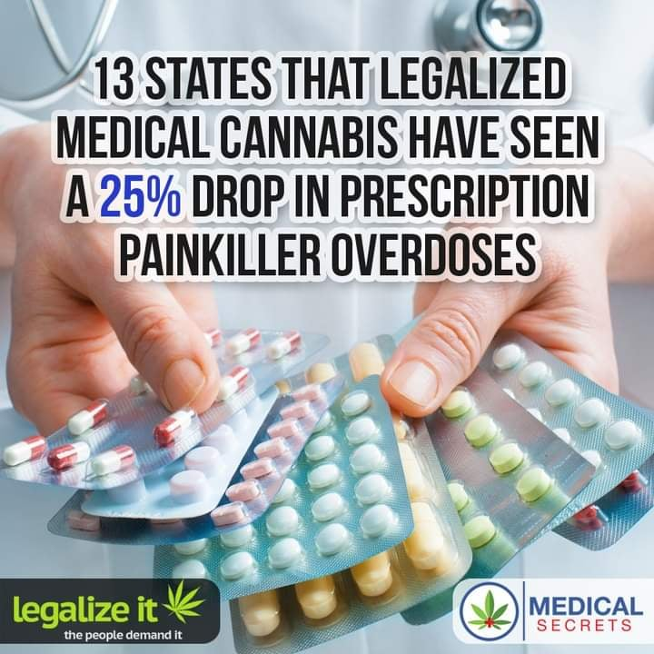cannaworldsite's tweet photo. https://t.co/Mp0QdkvgAK