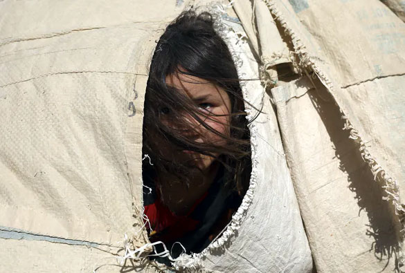 NewAgeIslam's tweet photo. Islam, Women and Humanitarian Ethics Are in for Abuse by the Taliban Terrorists in Afghanistan and Other Militant Groups Elsewhere #Islam #Muslims https://t.co/JkuvzYL2Ff New Age Islam https://t.co/Z4baZt9sZM