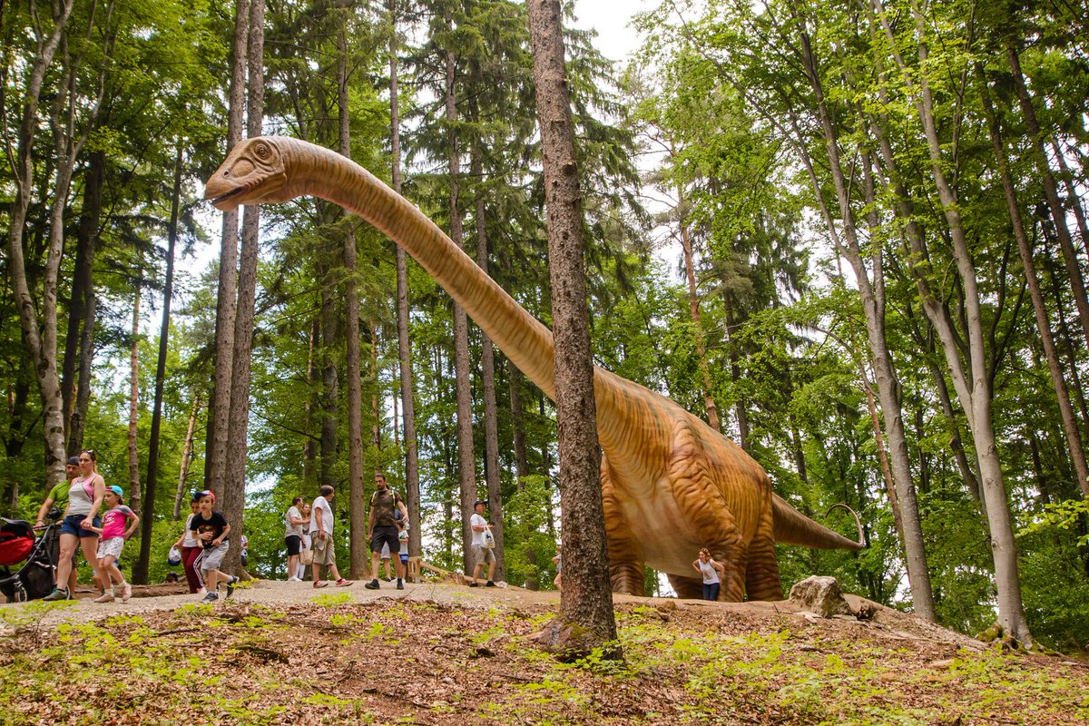 Dino Park in Rasnov was ranked as one of the best 50 places for family vacations in Europe

#AccessibleRomania #accessibletours #accessibletravel #accessibletourism